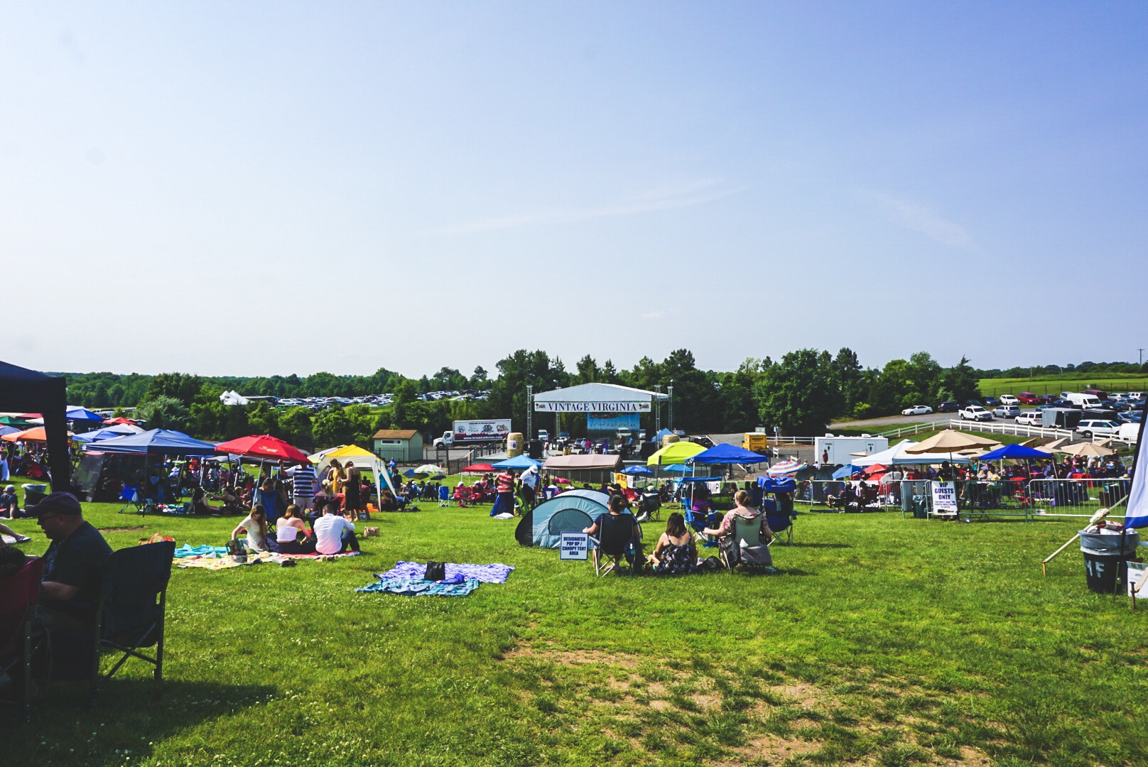 Vintage Virginia Wine Festival 