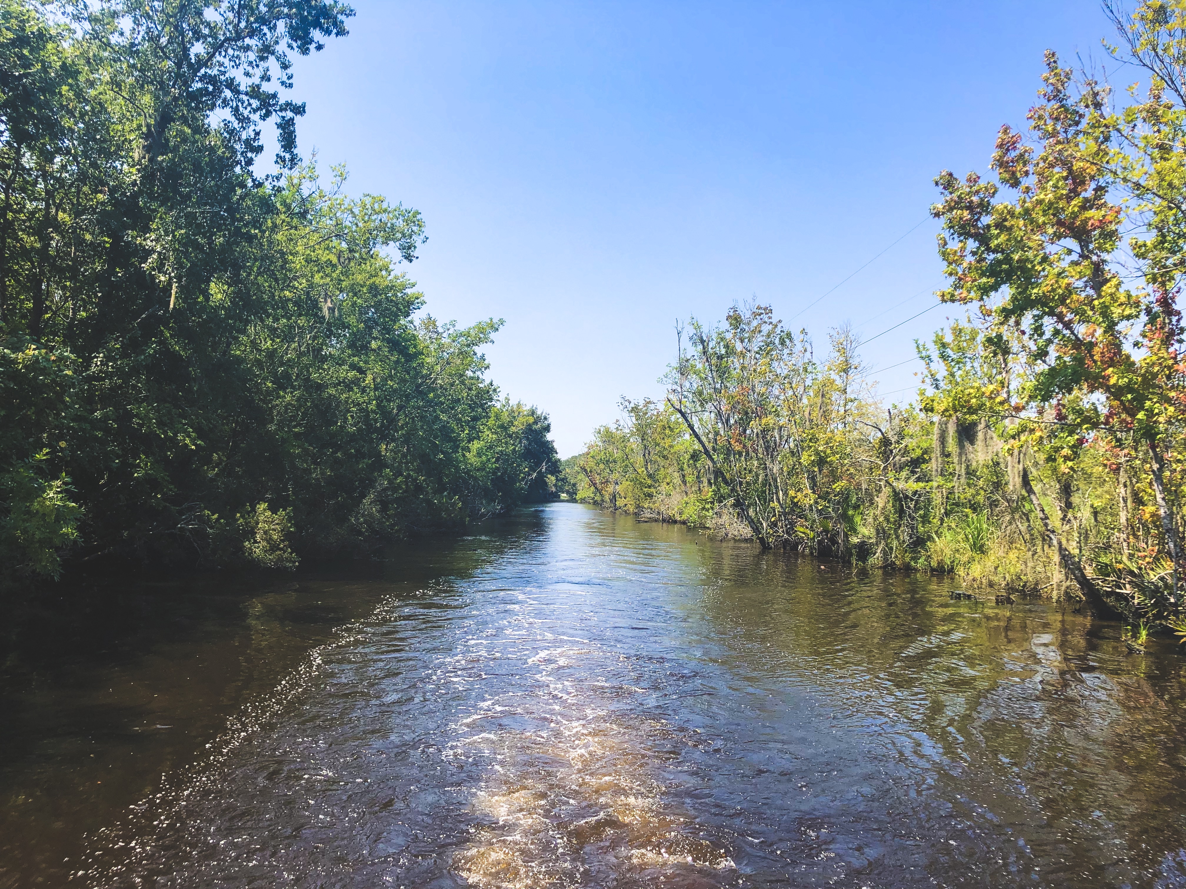 Swamp Tour