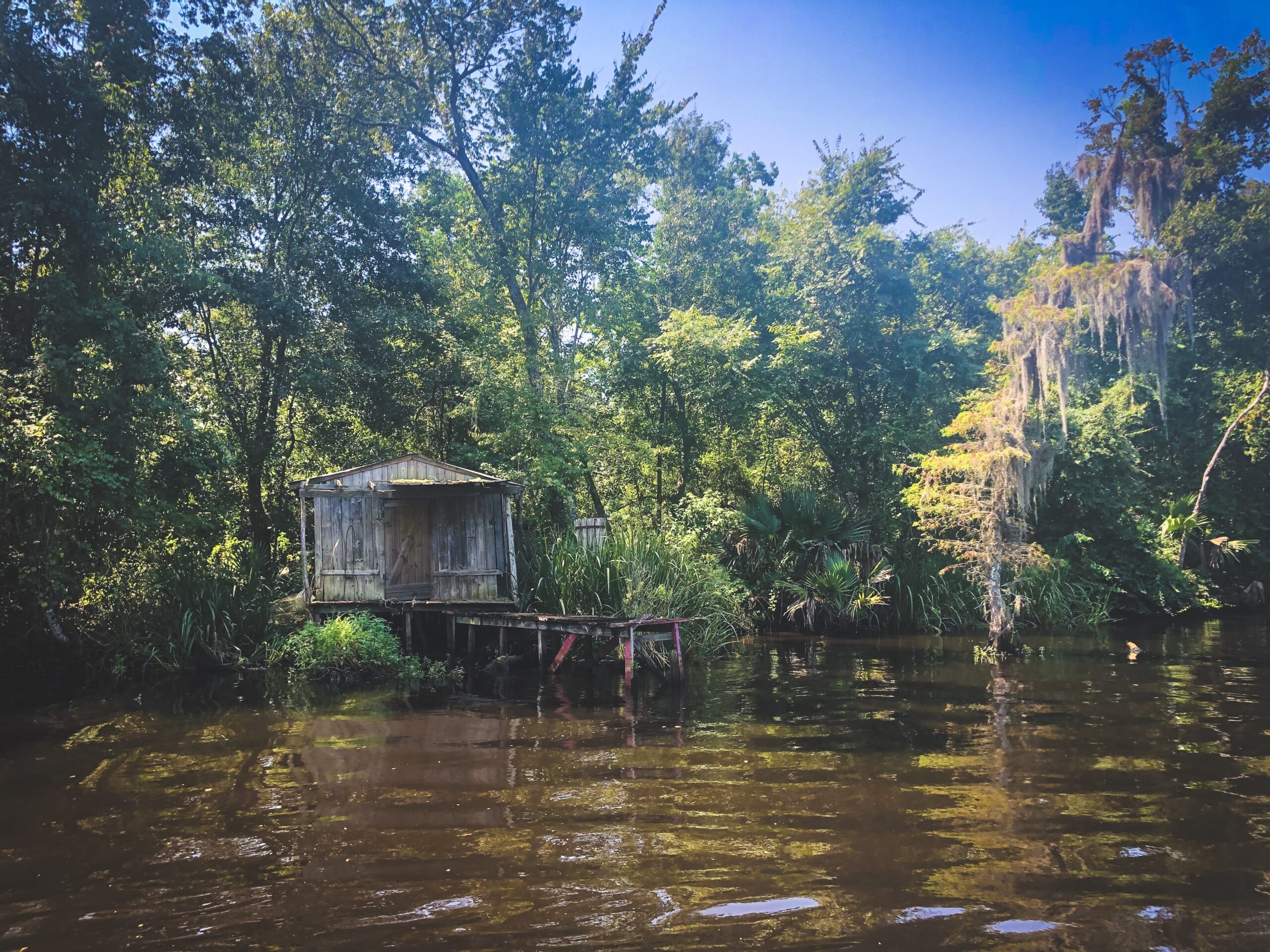 Jean lafitte swamp tour groupon online