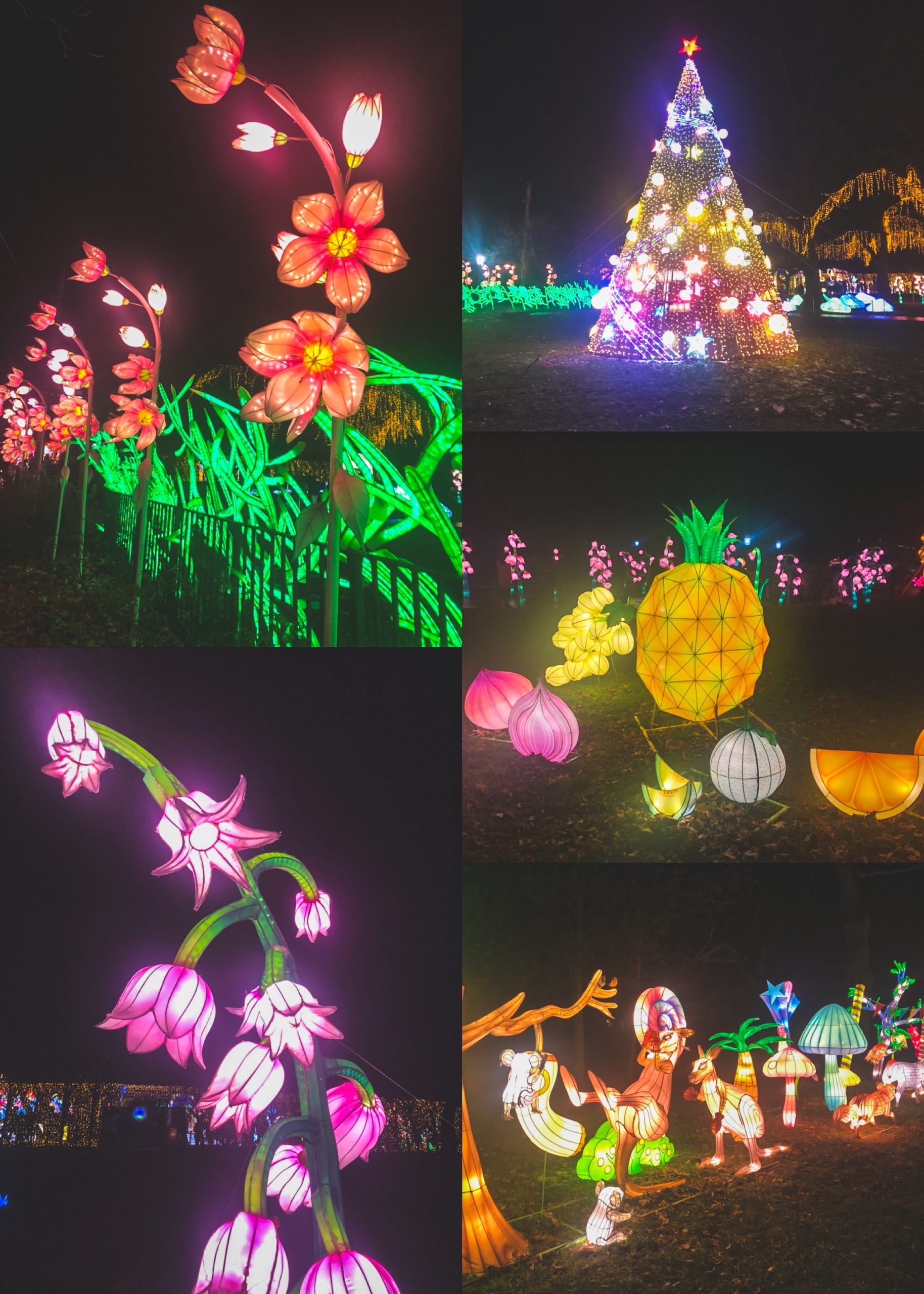 Lantern Festival 