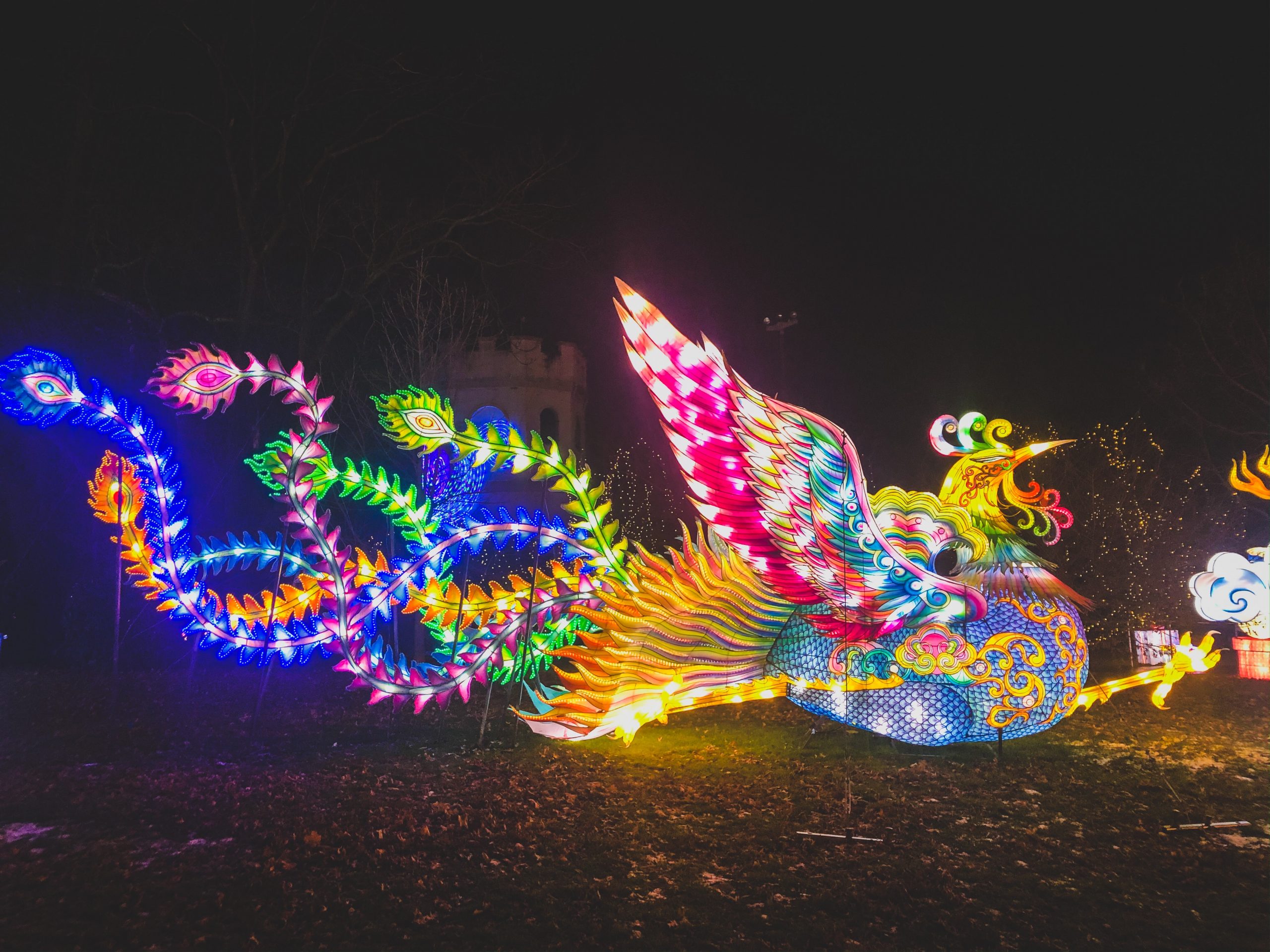 NYC Winter Lantern Festival Journey Along